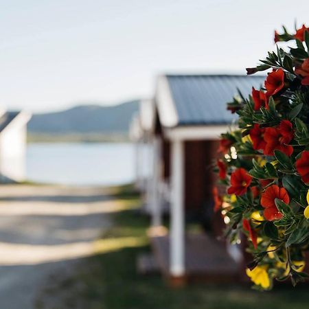 Skoganvarre Villmark Kültér fotó