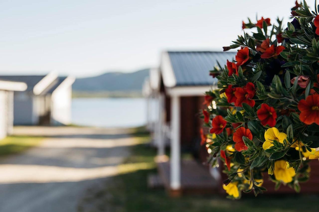 Skoganvarre Villmark Kültér fotó